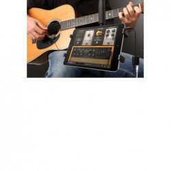 Ibanez AE305 NT + iRig Acoustic in omaggio, chitarra acustica elettrificata