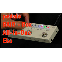 Eko pedaliera Baio Box All In One Pedale Multieffetto con IR Integrati