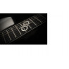 Washburn Parallaxe OLA ENGLUND PX SOLAR 160WHM chitarra elettrica