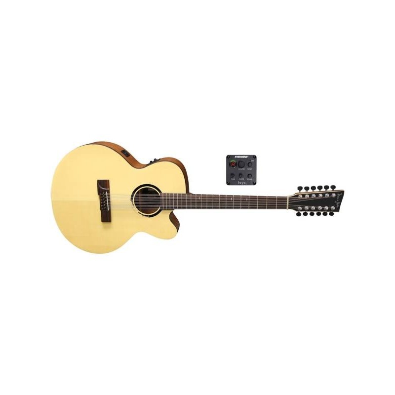 VGS Guitars Serie Bayou B40-12CE chitarra acustica 12 Corde Elettrificata.