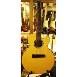 VGS Guitars Serie Bayou B40-12CE chitarra acustica 12 Corde Elettrificata