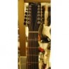 VGS Guitars Serie Bayou B40-12CE chitarra acustica 12 Corde Elettrificata