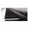 Echord DP1 pianoforte digitale con suoni e qualità tasti eccezionale. Disponibile