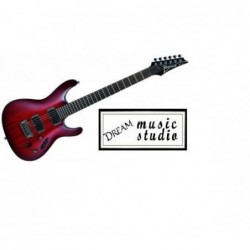 Ibanez S421 BBS BLACKBERRY SUNBURST chitarra elettrica nuova imballata